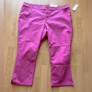 NWT Sonoma Fuchsia Pink Ankle Pants